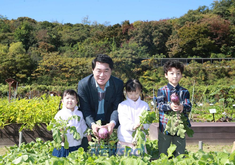 관악구, 김장철 걱정 덜어드립니다! 김장채소 수확체험 행사 개최