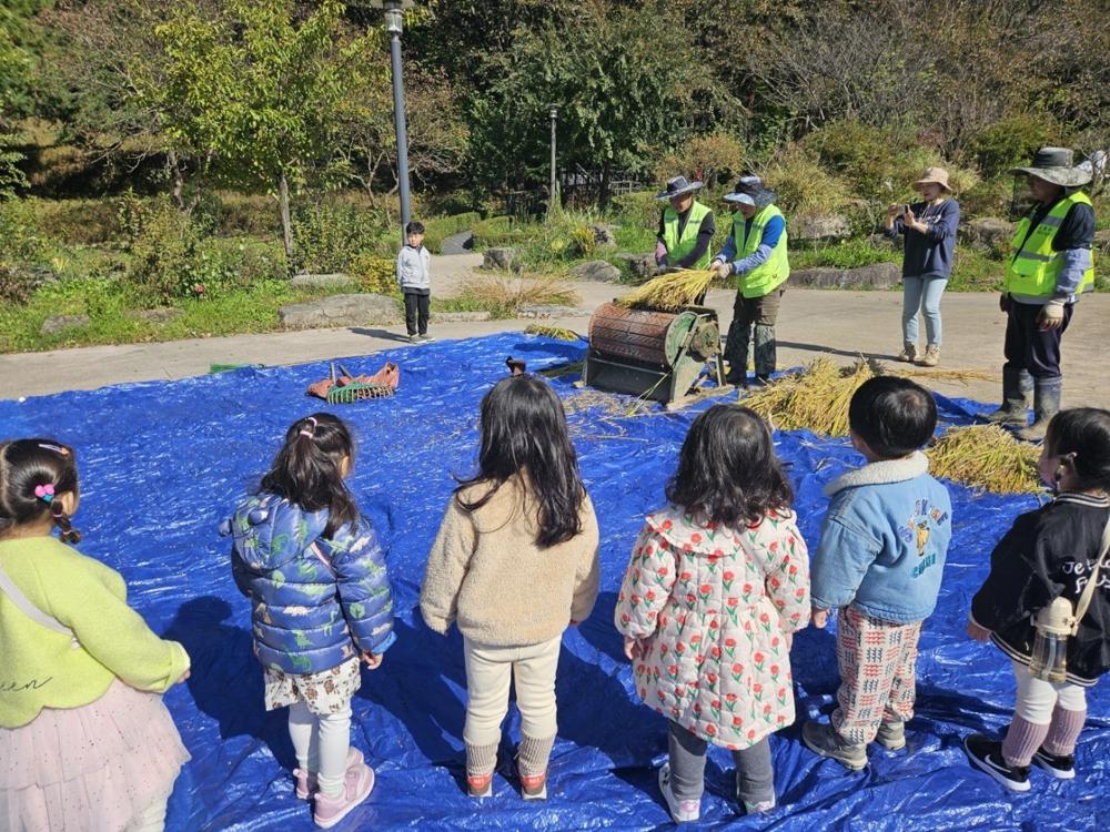 강동구, 꼬마 농부들과 다랭이논 탈곡 체험