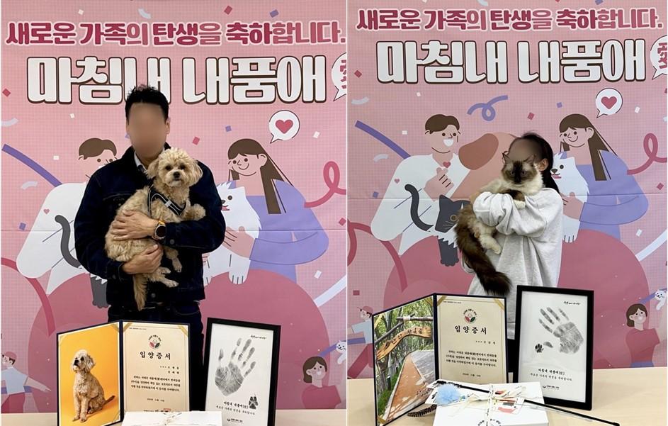 서대문내품애센터, 유기동물 입양 기적 계속