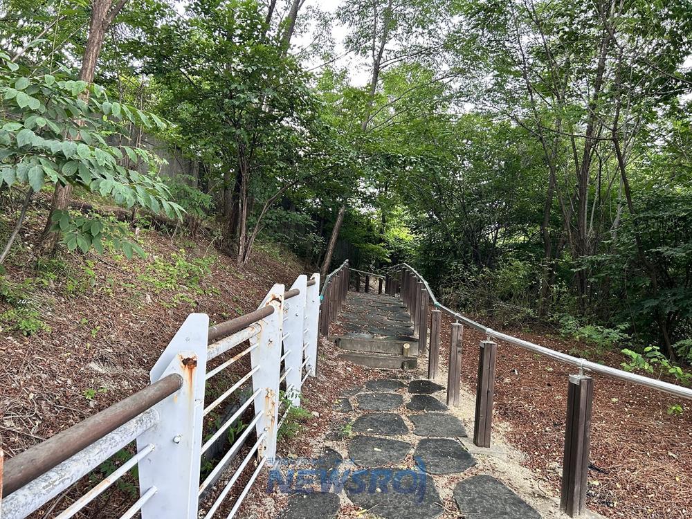 종로구, '산림복지 나눔숲' 공모 선정… 복권기금 3억원 확보