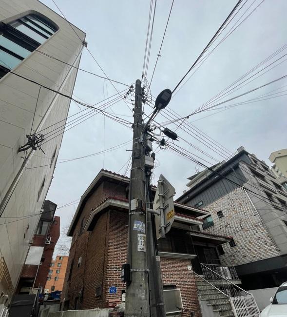 송파구, 거미줄 공중케이블 정리 완료…구민 안전 확보