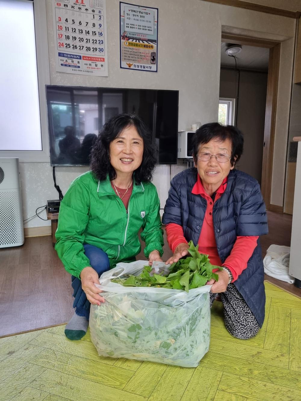 안계면 새마을부녀회, 유채나물 나눔행사 실시
