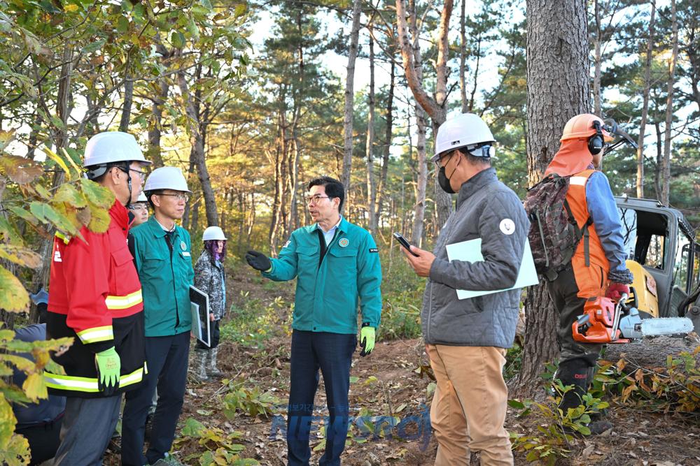 김광열 영덕군수, 소나무재선충병 방제 사업장 현장점검