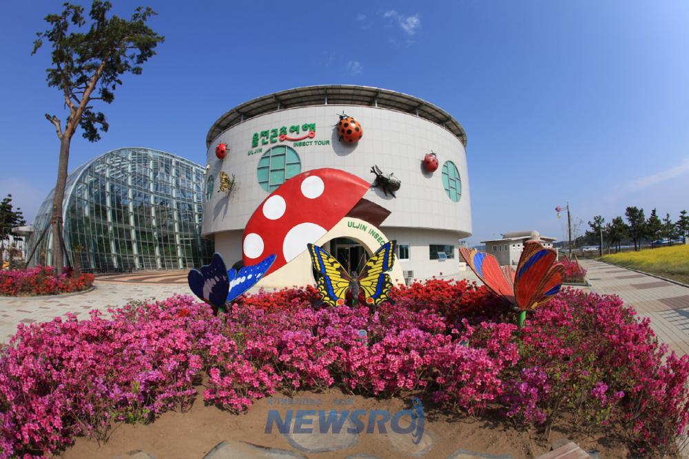 울진 왕피천공원, 곤충의 매력을 만끽하는 곤충여행관