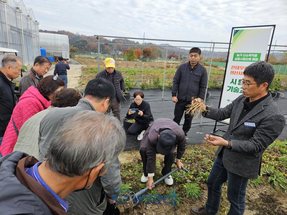 영주시, 잔대 우량종근 생산 기술교육 실시