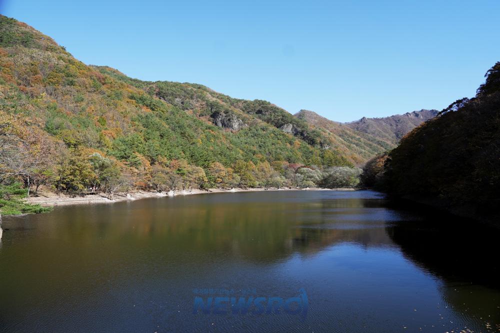 청송군, 주산지 왕버들 복원사업 시행