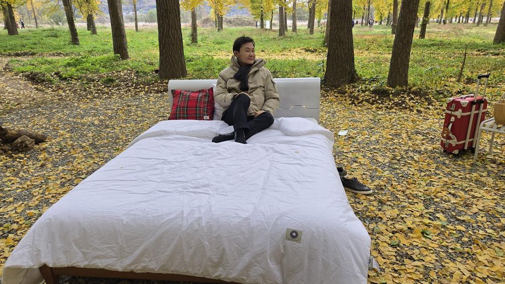 고령군 청년여행주간, 풍성한 성과로 종료