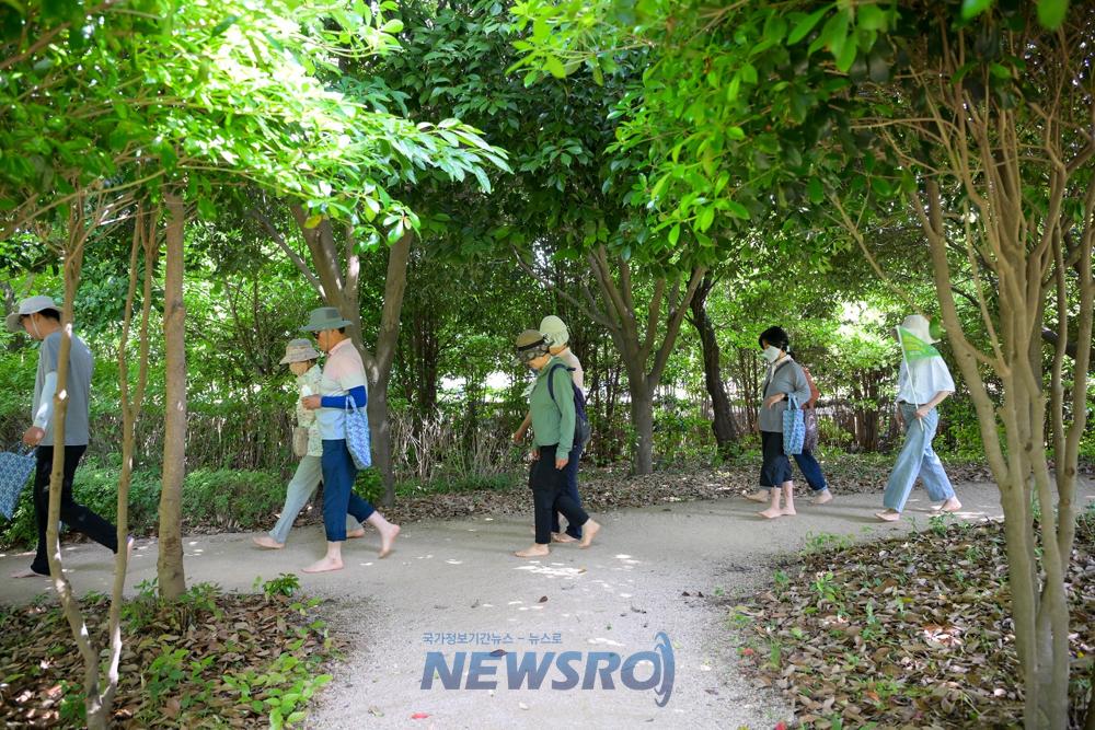 순천시, 순천시민 6개월간 건강한 도전으로 걷기왕 101명 선정