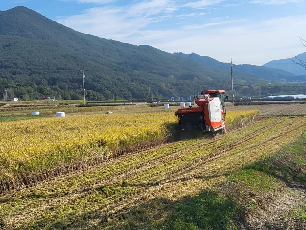 구례군, 볏짚 환원 사업으로 흙 살리기 실천
