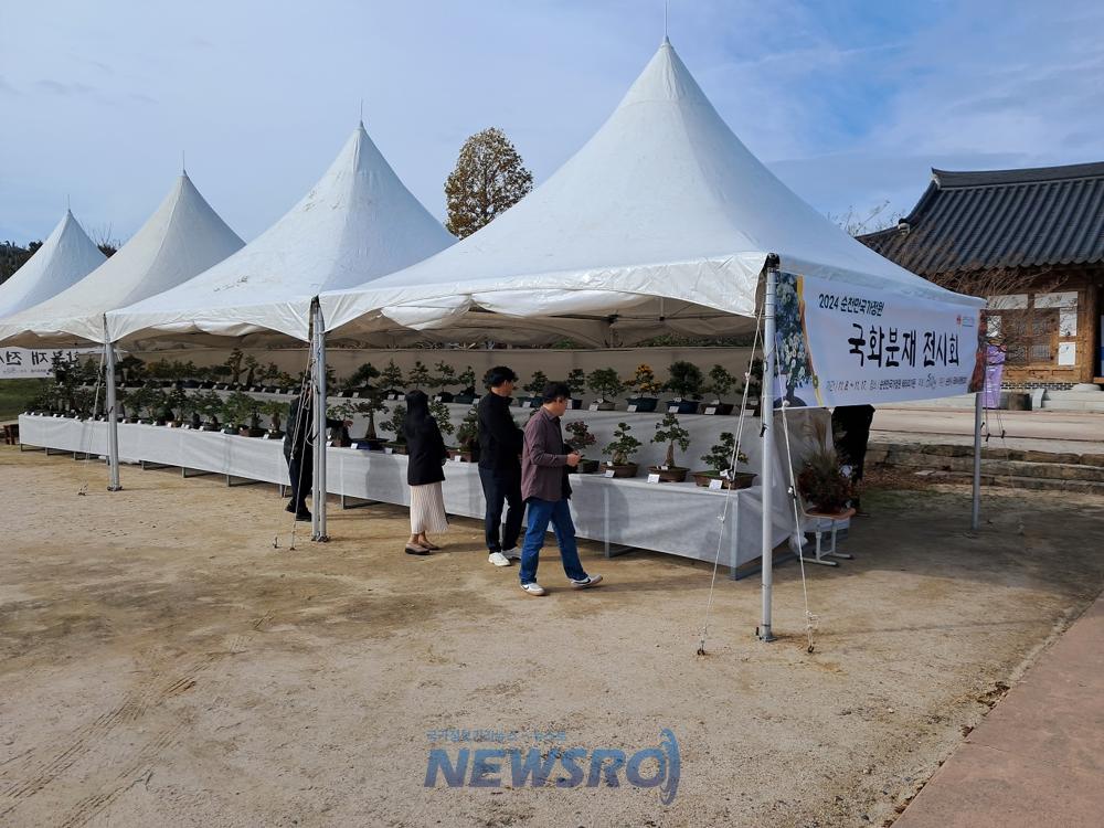 순천만국가정원에서 국화분재 전시회 개최