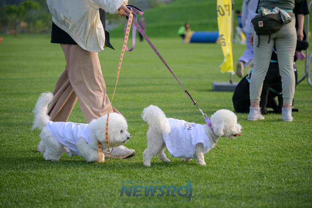 순천시, 반려동물 문화한마당 행사 16일 개최