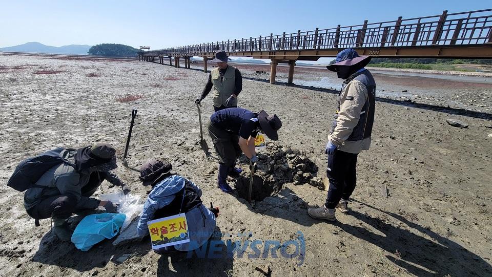 신안군, 국제적 블루카본 도시로 도약