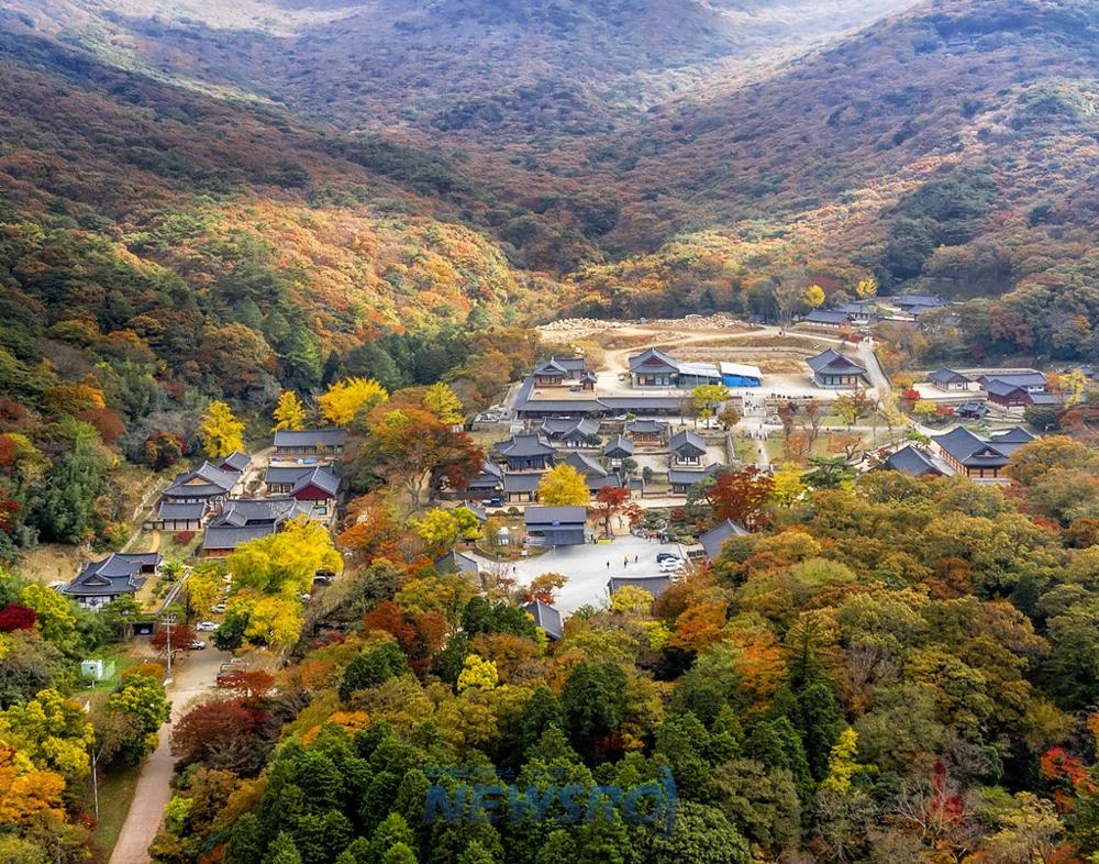 한반도 마지막 단풍, 해남 두륜산과 달마산에서 만끽하세요