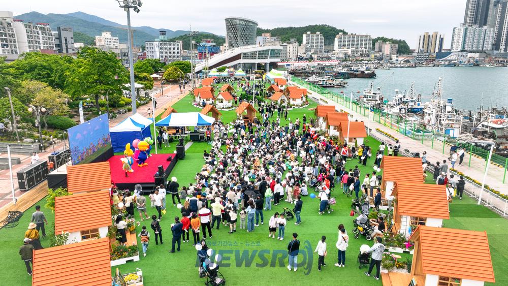 완도군 SNS 운영 현황