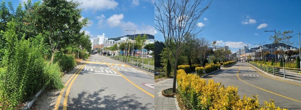 나주시, '자녀안심 그린숲' 조성으로 안전한 통학환경 구축
