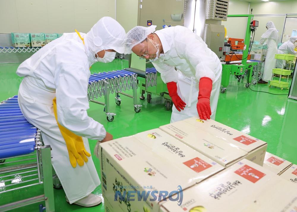 해남 절임배추, 김장철 인기 상승