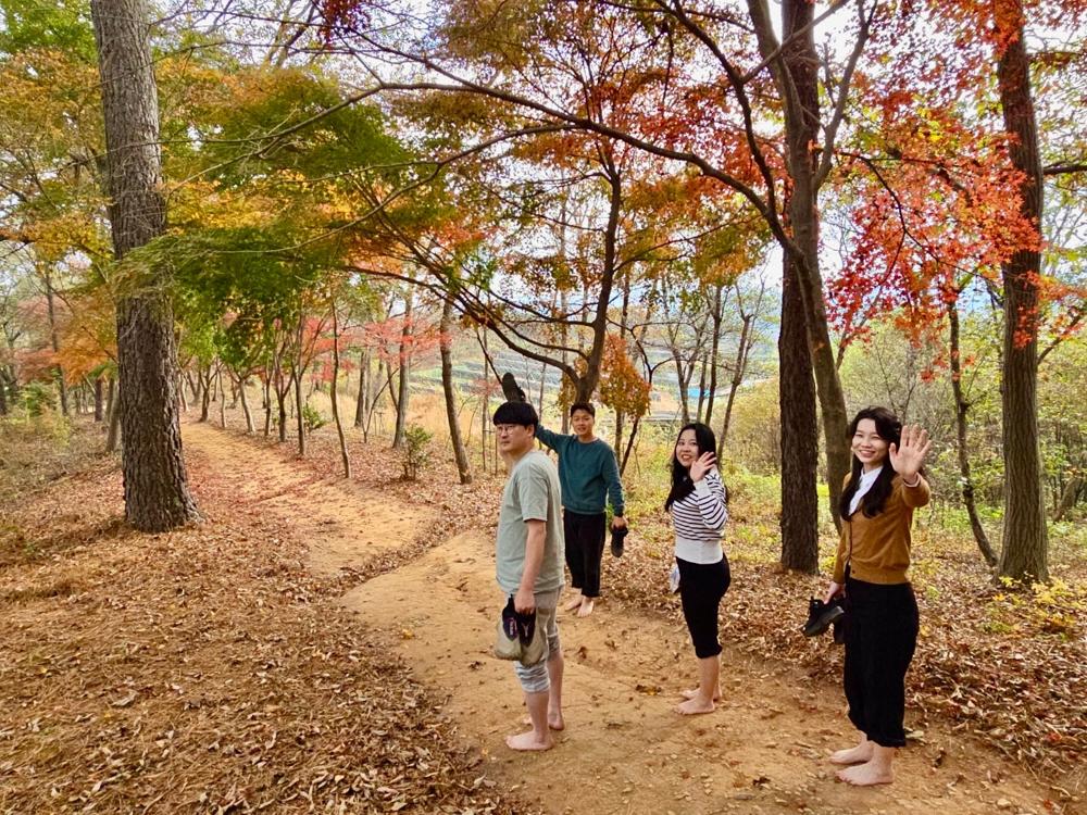 보성군, 주민생활권 도시 숲과 맨발로 조성으로 치유 도시 단계별 추진