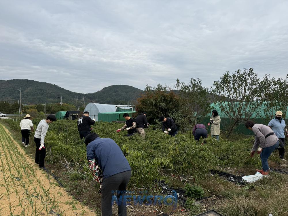 고성군 재무과·행정과·건축개발과·대가면, 합동 농촌일손돕기 실시