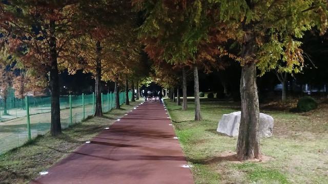 사천시, 우주항공테마공원에 야간 태양광 경관 포인트등 설치