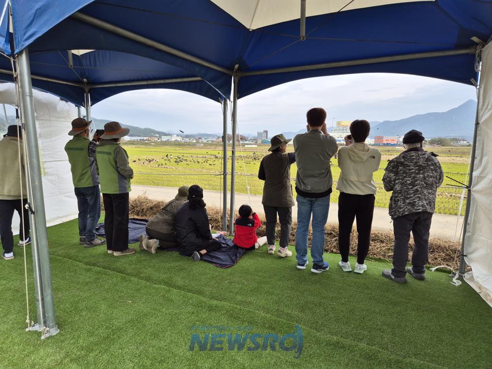 몽골 독수리가 활공하는 고성의 하늘은 장관이다! 가자~!고성으로!