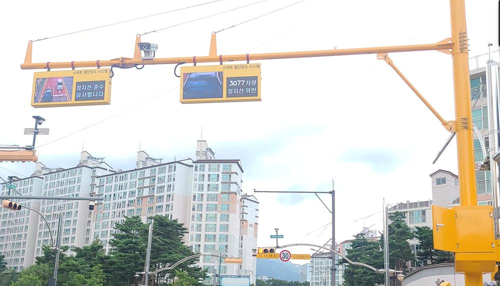 용인특례시, 내년 어린이보호구역에 정지선 위반 알림 시스템 도입