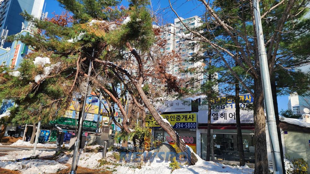 군포시, 기록적 대설에도 제설 순조... 눈 더 내려 주의 당부