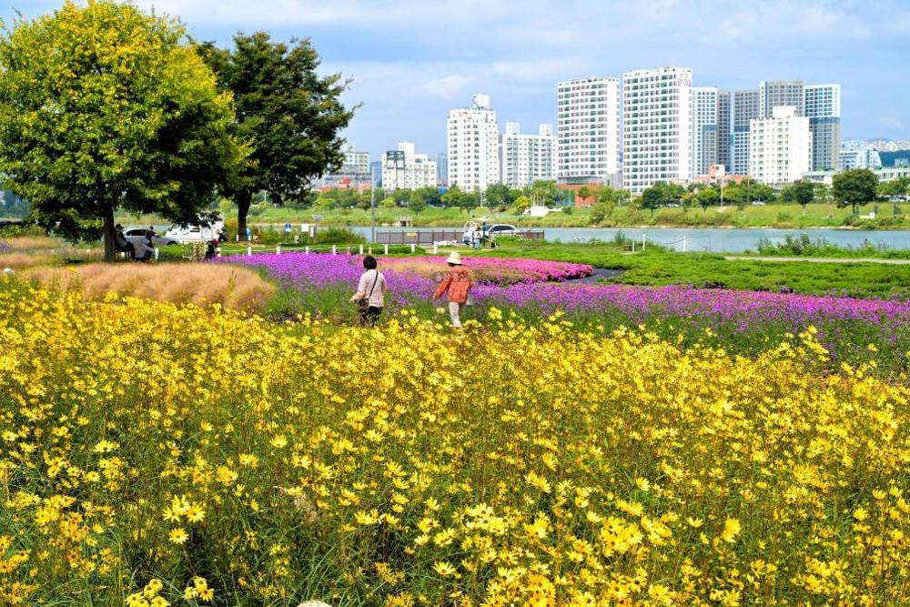 울산 남구, 정원 도시 조성 사업 시작