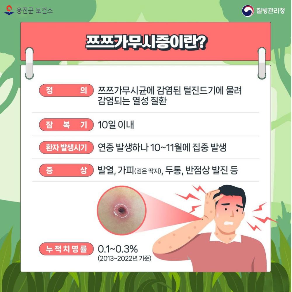 옹진군, 쯔쯔가무시증 환자 증가에 따른 진드기 주의 강조