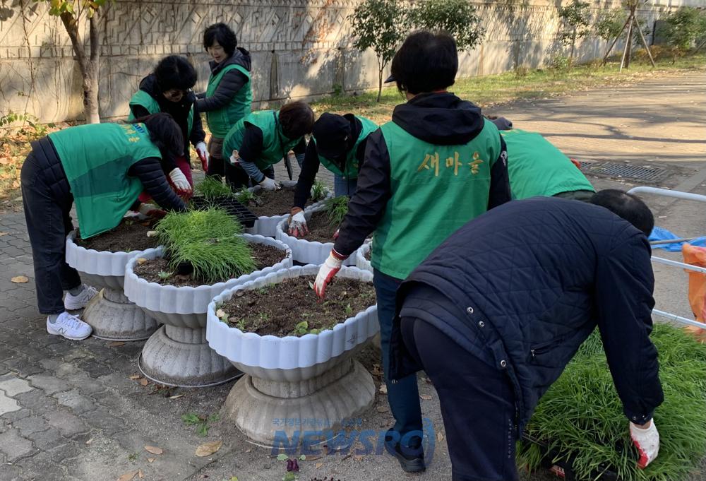 구암동·읍내동 새마을협의회·부녀회, 겨울꽃 심기 및 환경정비 활동