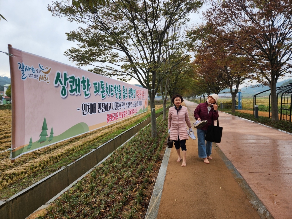서천읍 화금리에 맥문동 황토맨발길 개장