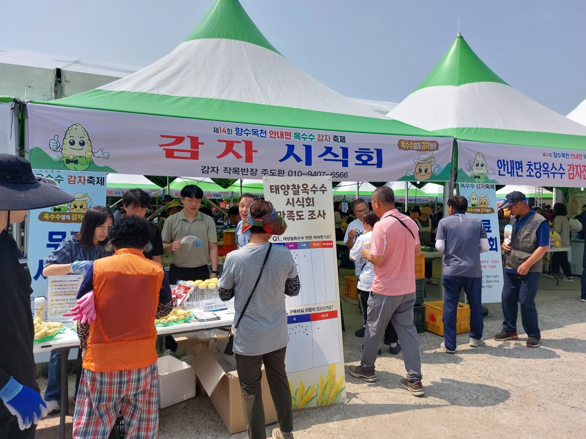 옥천군농업기술센터 ‘태양찰옥수수’ 종자 신청 접수