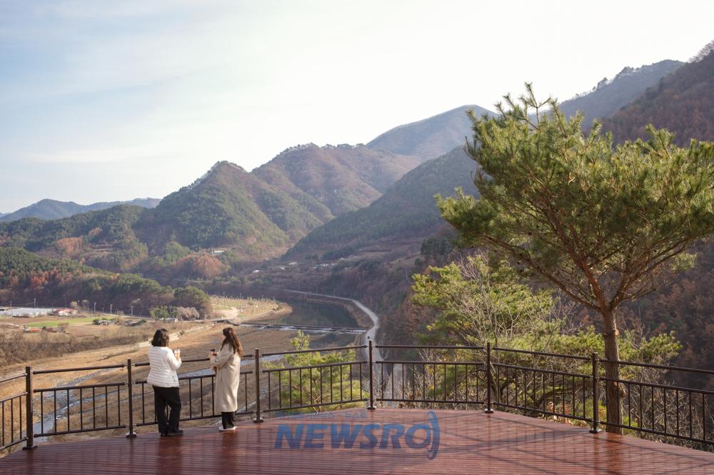 정선군, 천년의 숲 전망대 설치 ‘새로운 관광명소 탄생’