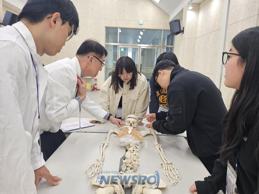 영월교육지원청, 의학분야 진로탐색 프로젝트 '하이 닥터' 운영