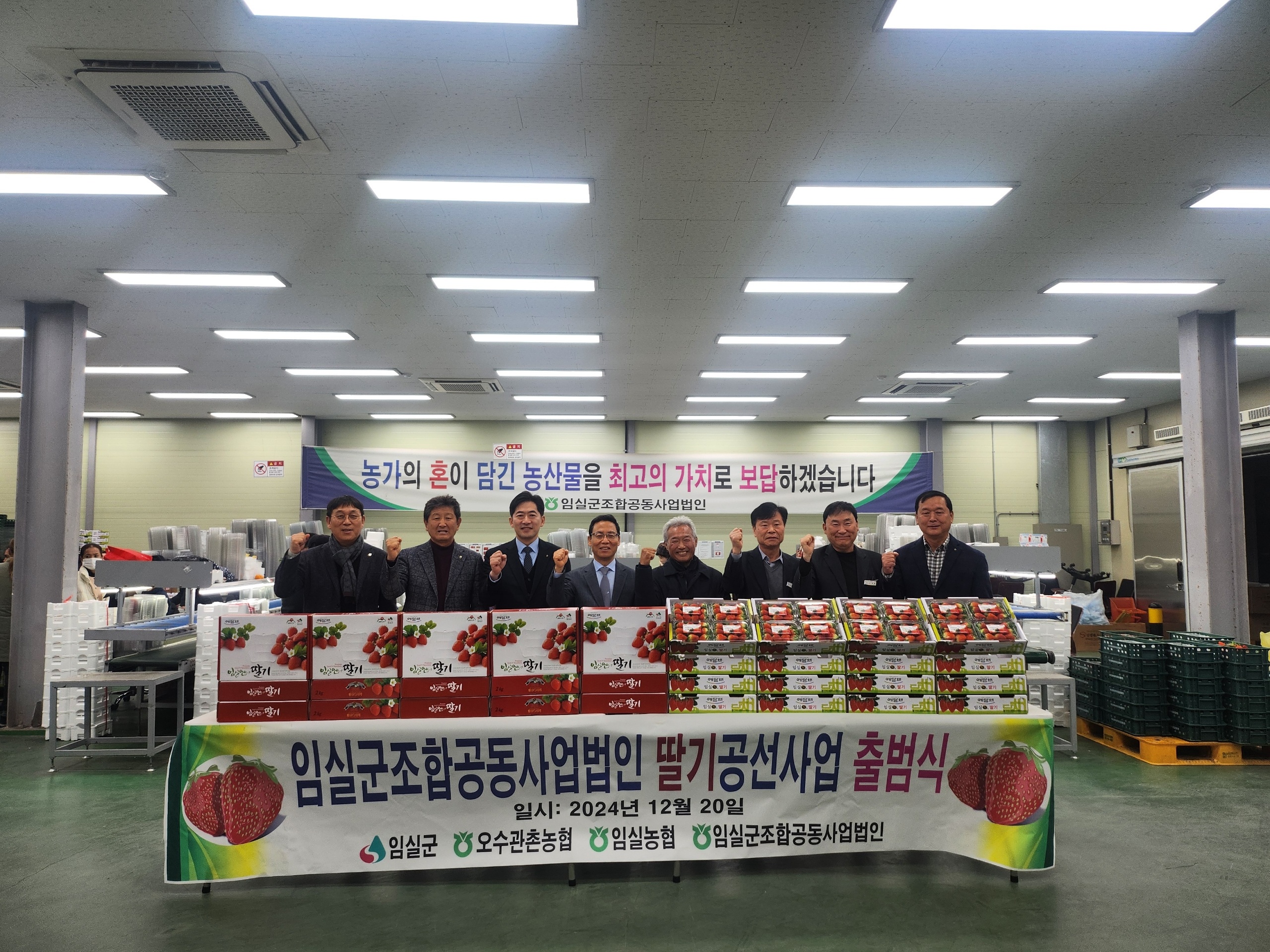 임실군, 명품 임실N딸기 본격 출하