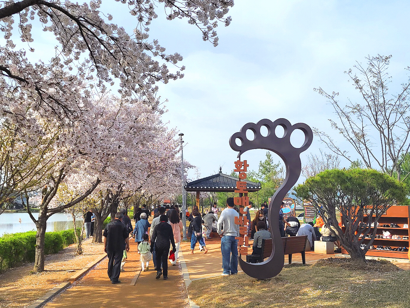 경상북도, 2024년 시군 산림레저관광분야 평가결과
- 안동시 최우수 기관, 김천시·경주시는 우수 시군,  칠곡군은 공로 시군 선정