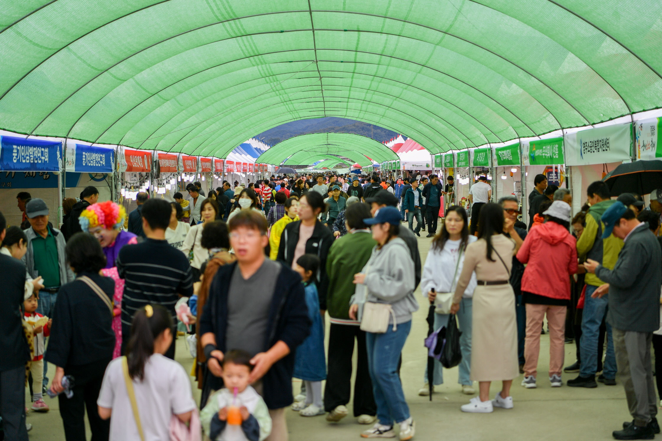 경북영주 풍기인삼축제&영주장날 농특산물대축제 평가보고회 개최