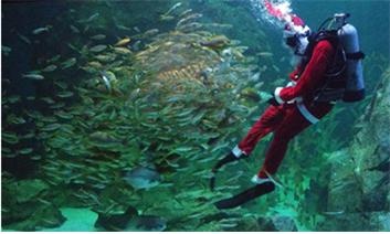 울진 왕피천공원에서 “Happy Christmas” 크리스마스 소원나무, 룰렛 이벤트 진행