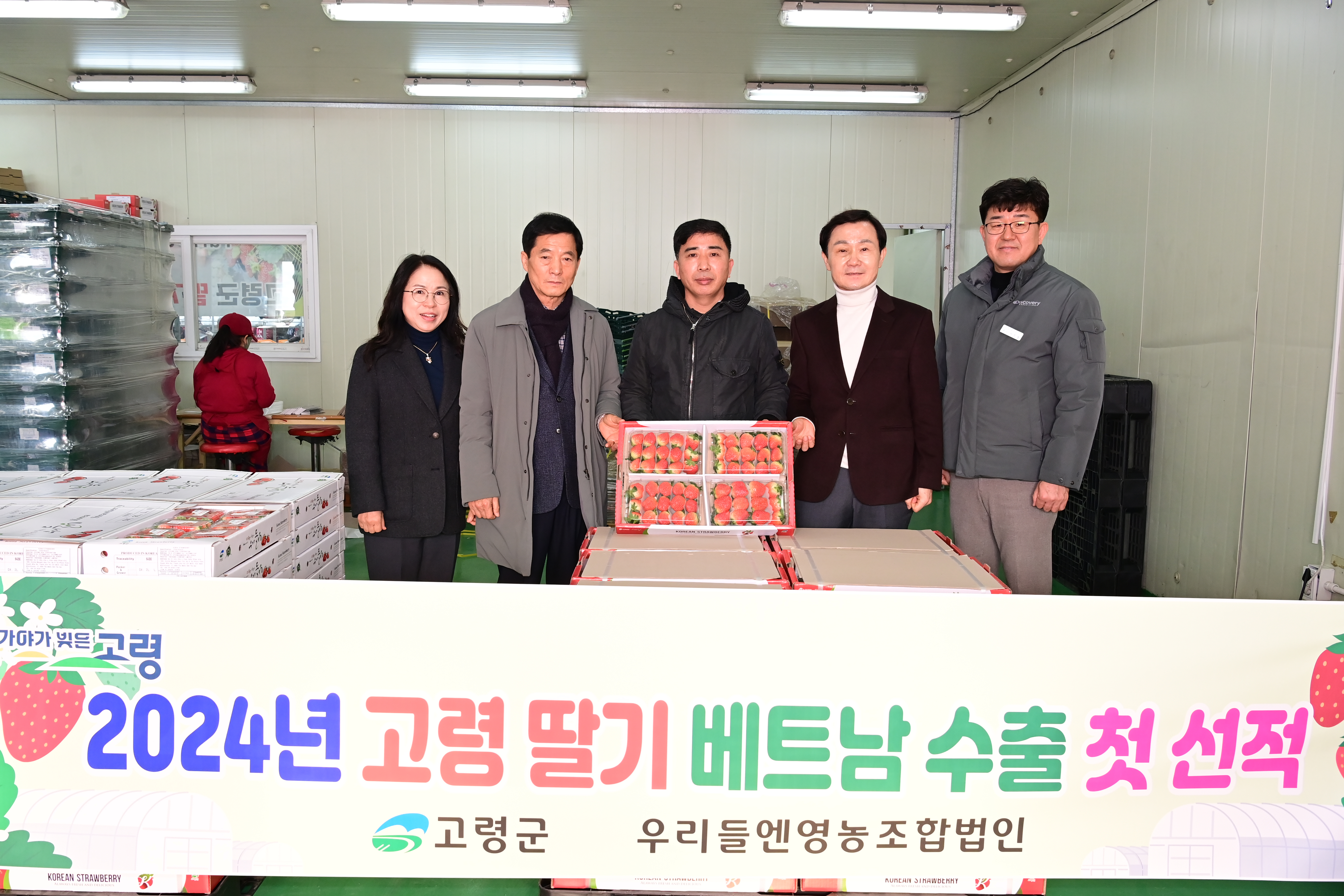 2024년 고령딸기 첫 수출! 세계에서 더 빛나는 고령!