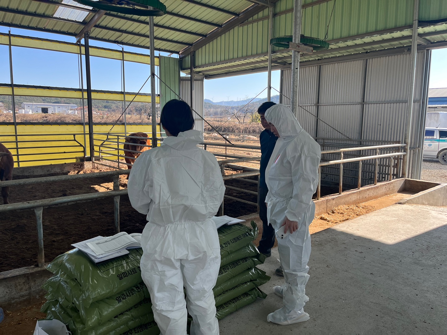 경주 천년한우, HACCP 인증 농가 175곳으로 확대