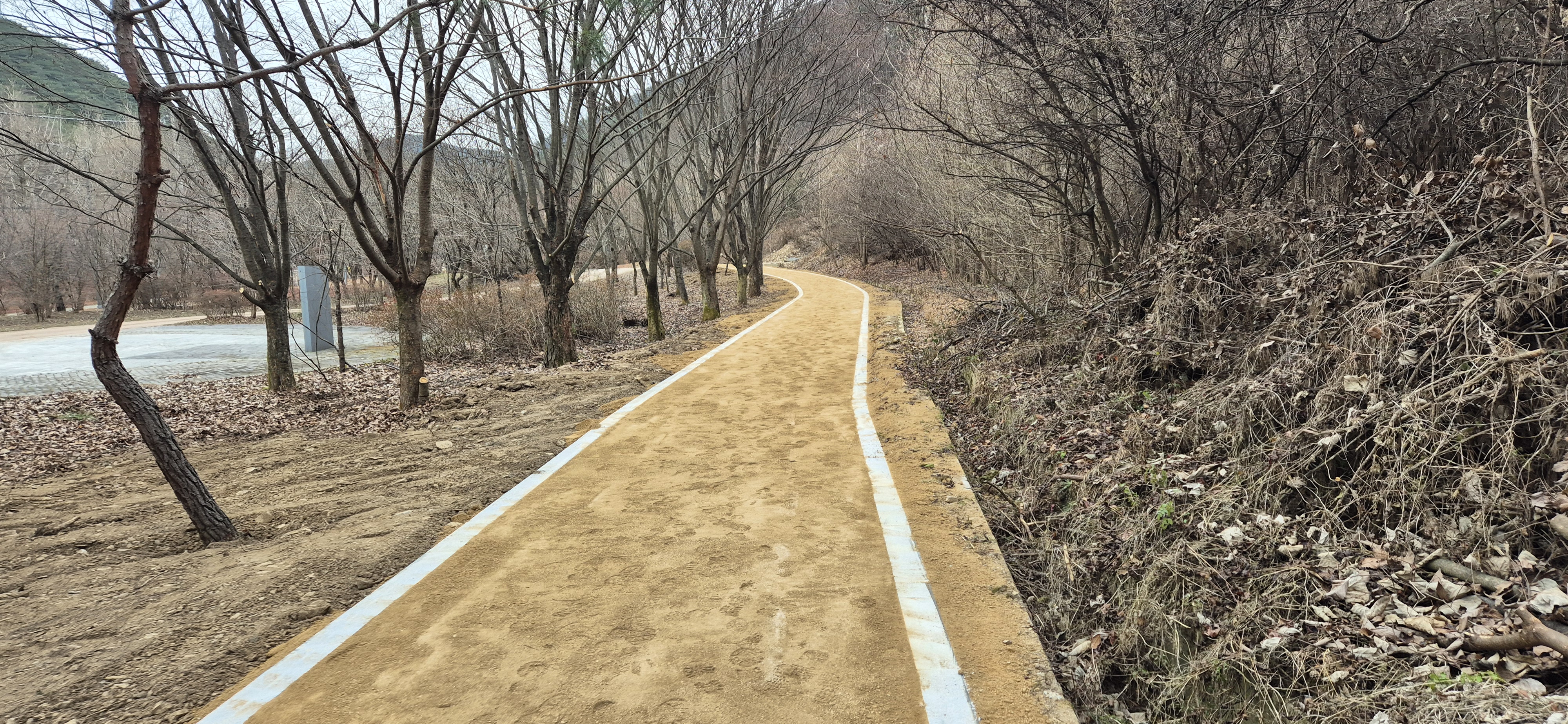 의성 고운사천년숲, 맨발걷기길 추가 조성 완료