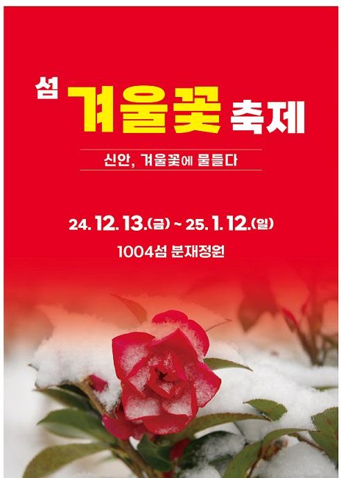 신안, 겨울꽃으로 물들다! 섬 겨울꽃 축제 개최