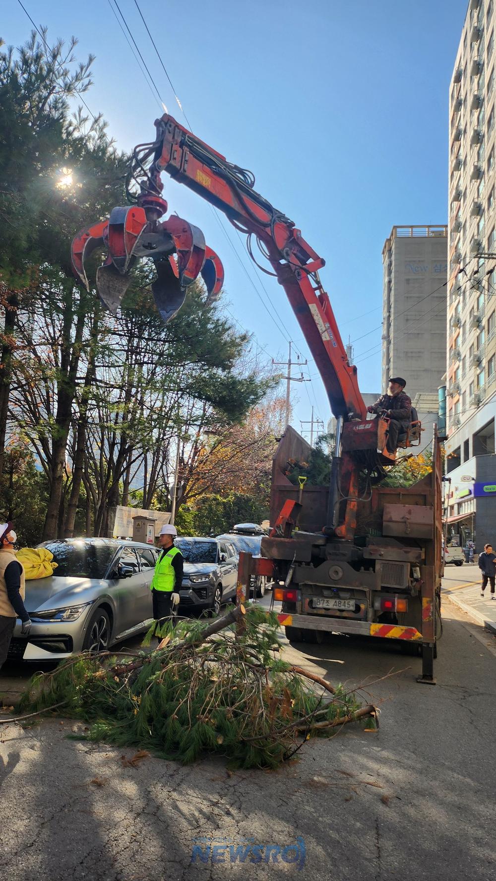 군포시, 폭설 피해 수목 응급복구 작업 진행 중