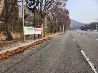 서구, 소나무재선충병 방지 위한 가을철 소나무류 이동 특별단속 실시