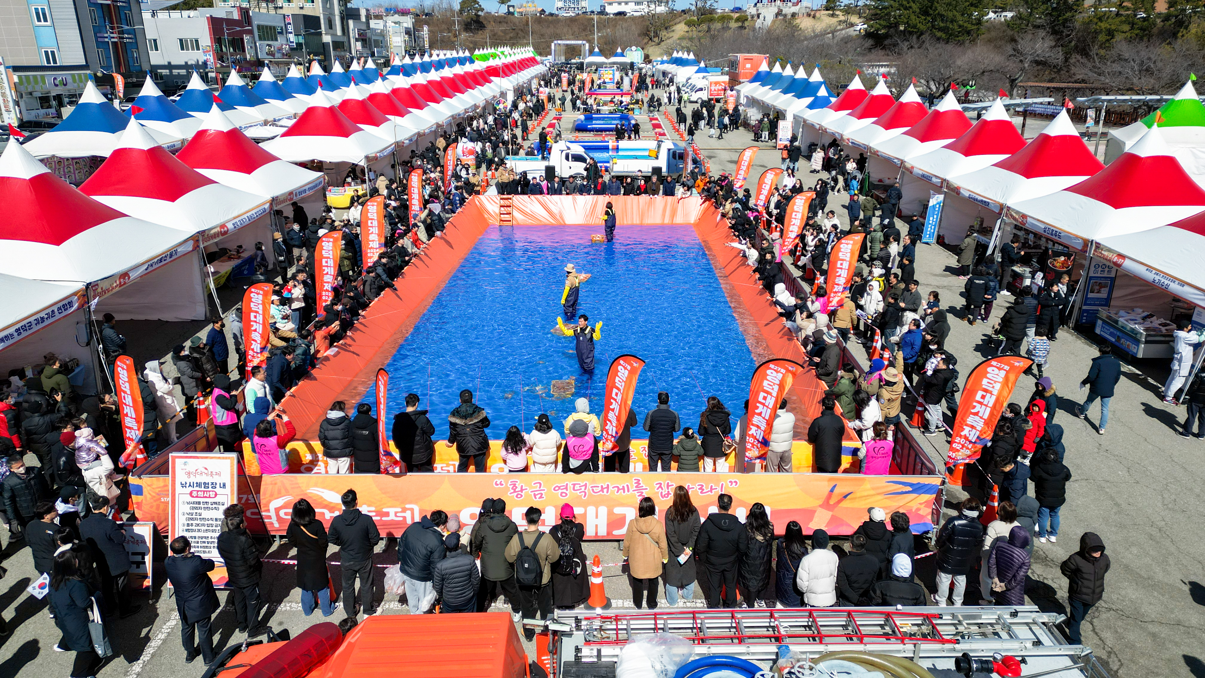 영덕대게축제, 지역 경제 활성화의 새로운 전환점