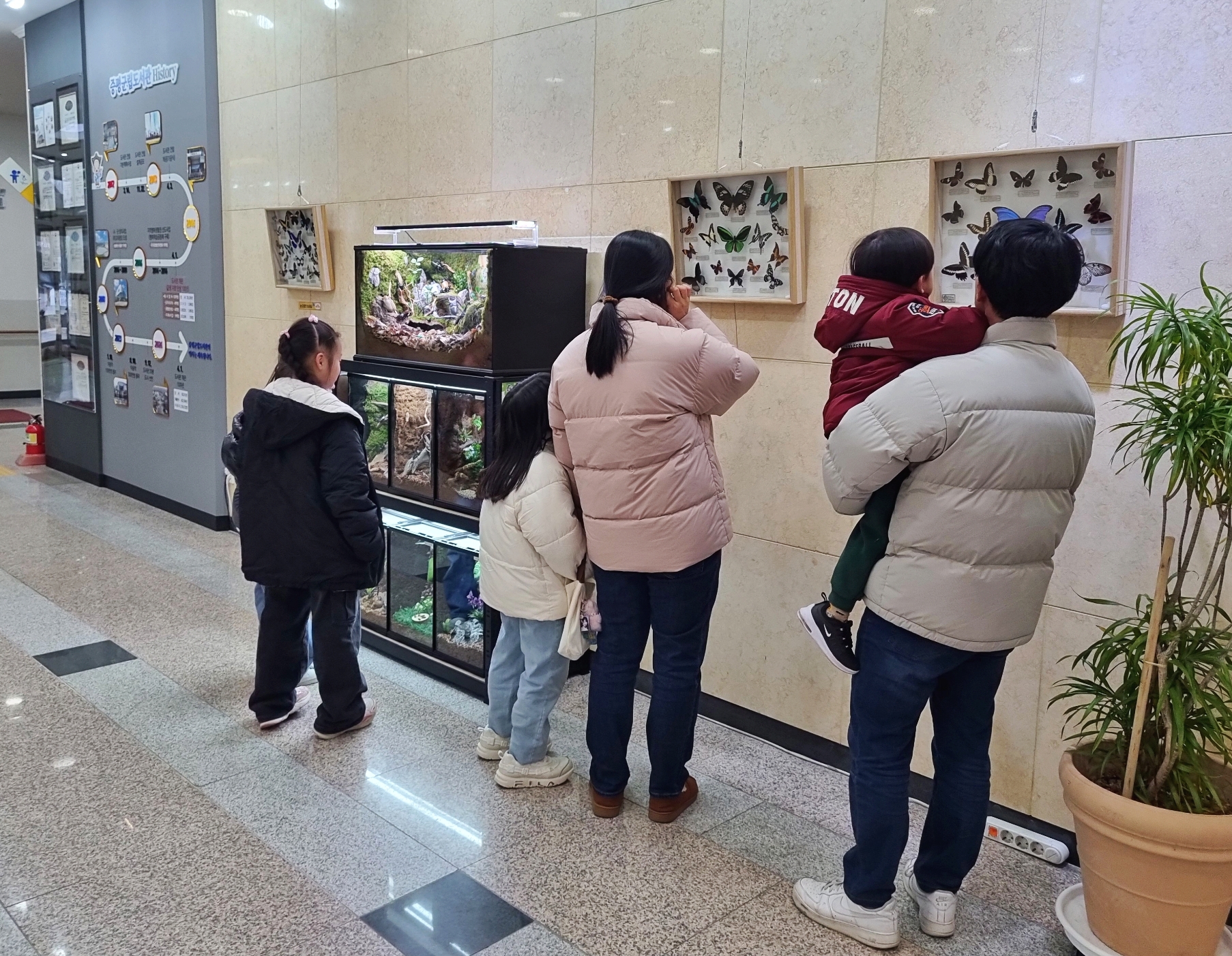 증평군립도서관, 곤충표본 전시로 자연의 경이로움 선사