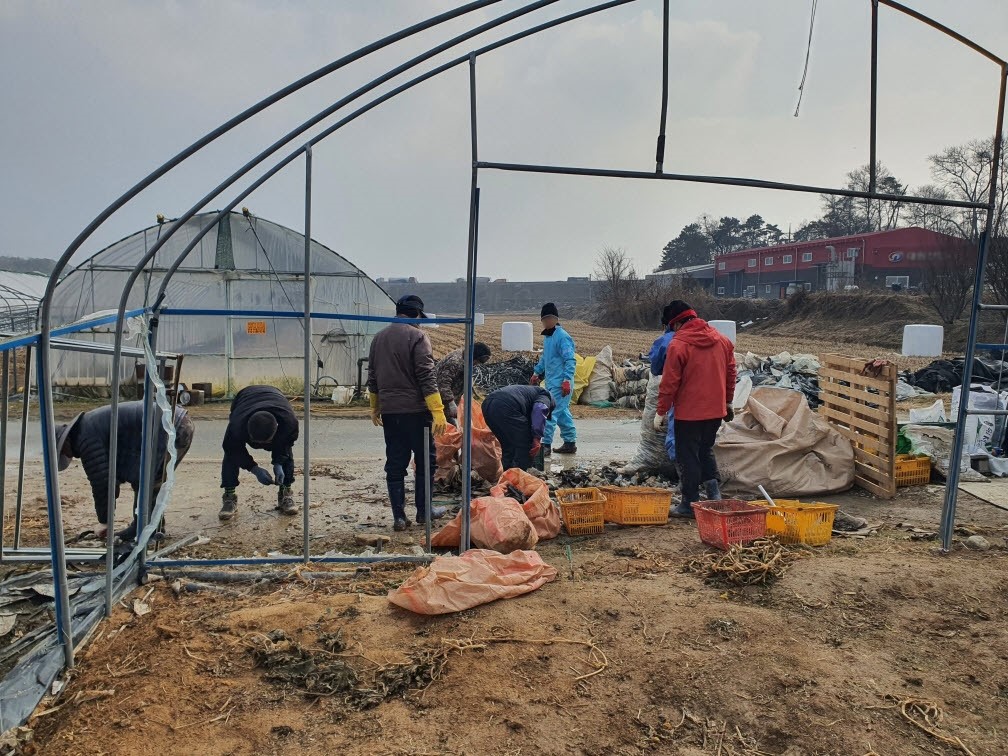 음성군, 대설피해 농가에 도시농부 투입으로 복구 ‘총력’