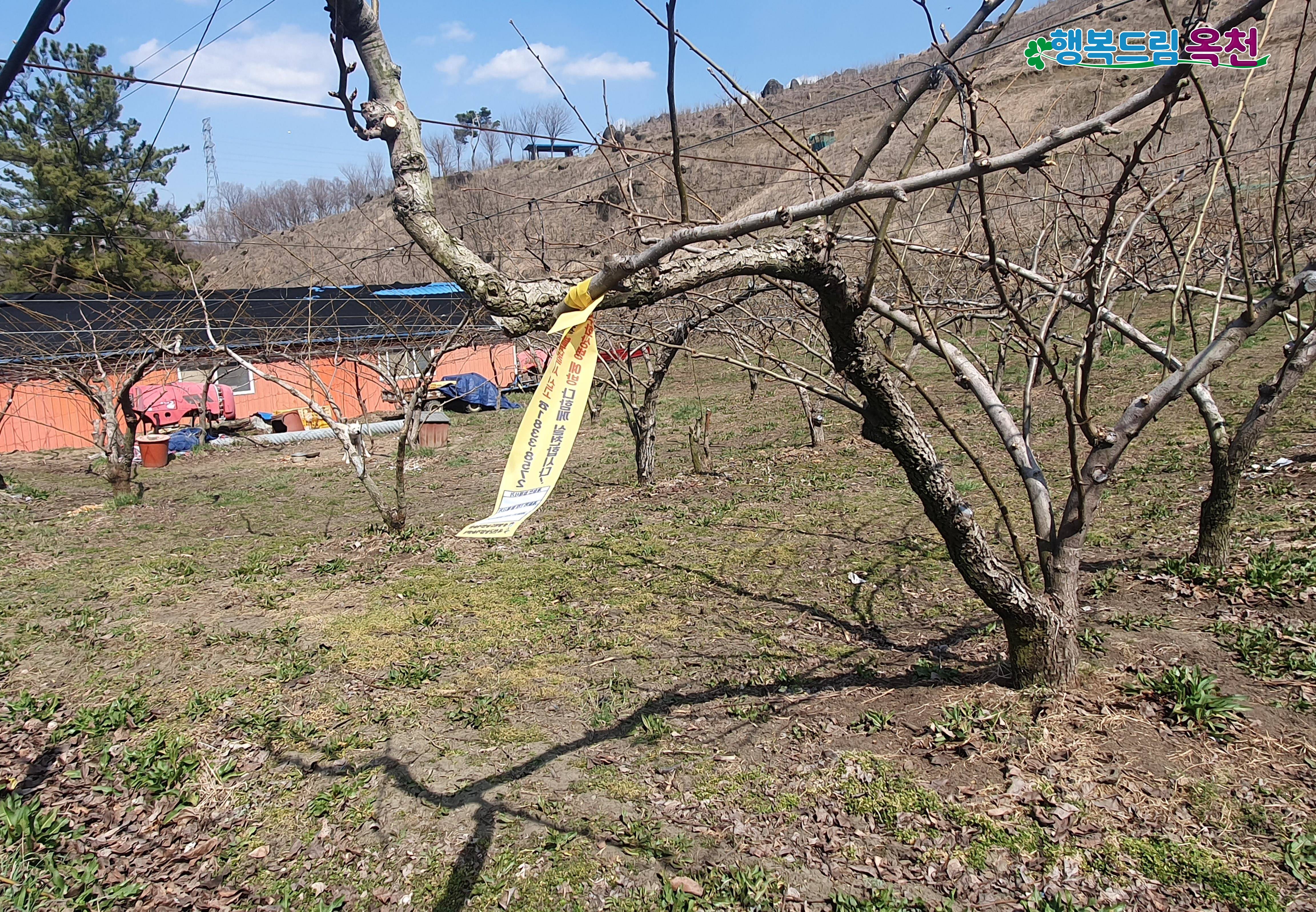 옥천군, 예찰과 외부차단으로 과수화상병 청정지역 지위 유지 안간힘