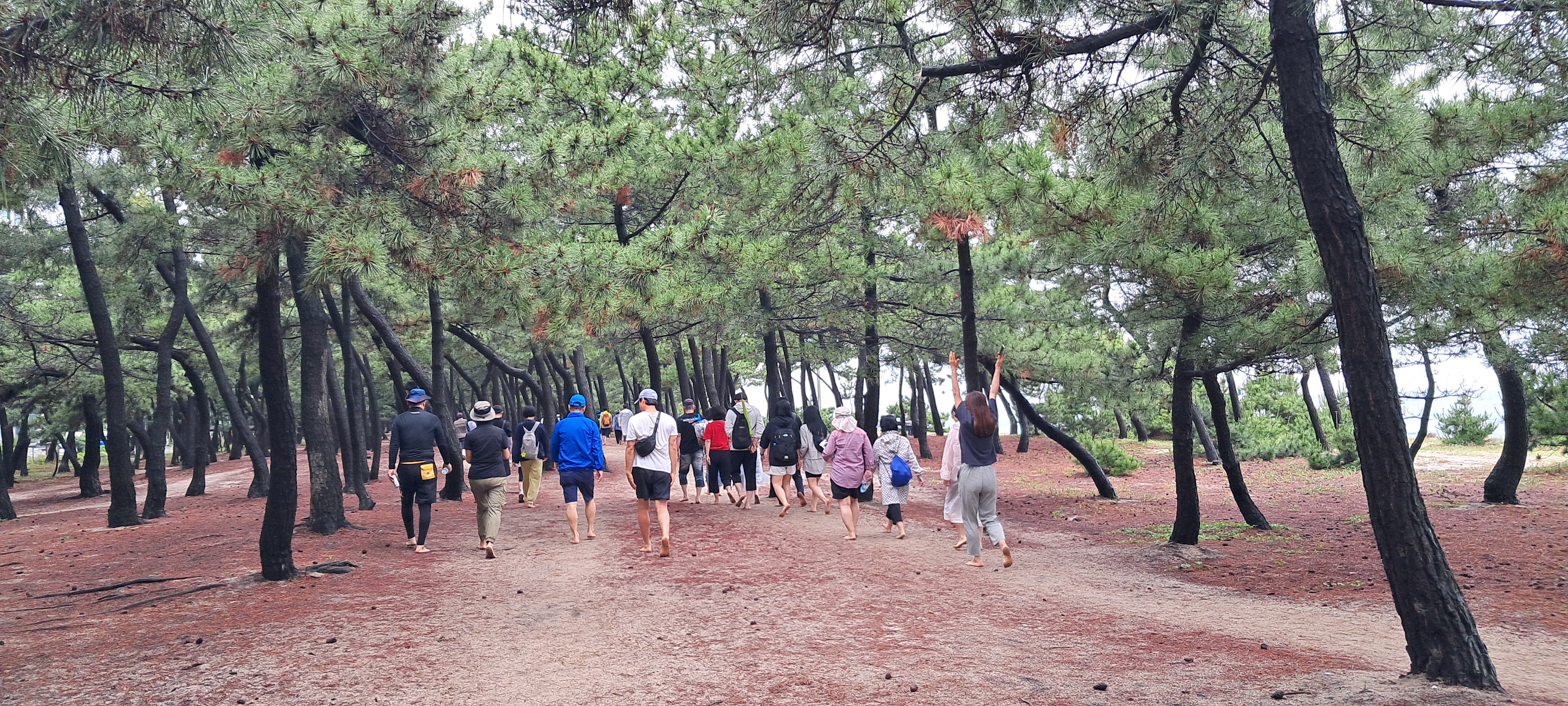 동해선 개통, 강릉 관광의 새로운 도약