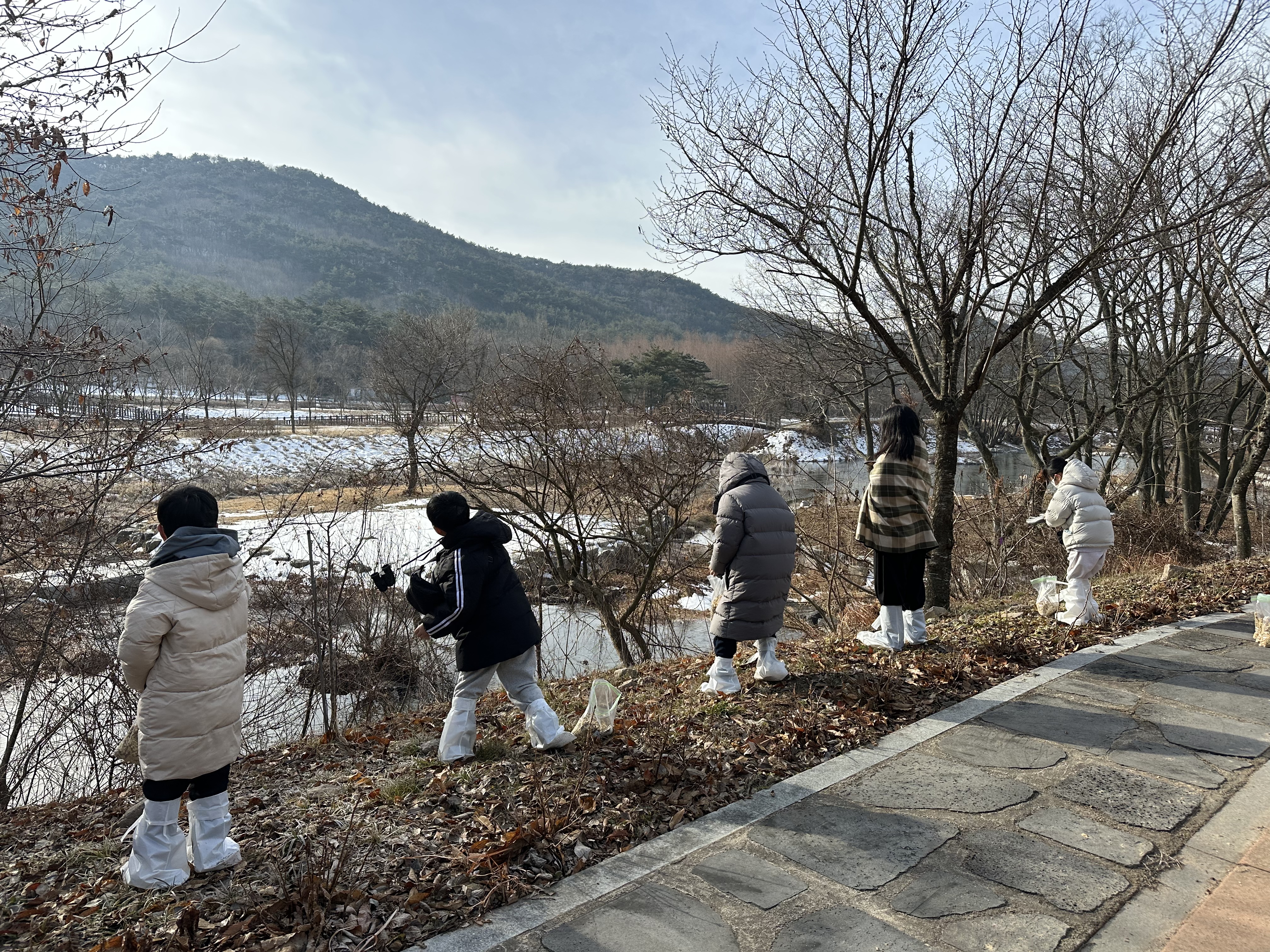 람사르습지도시 고창군, 세계습지의날 기념 ‘철새 먹이주기’ 행사 개최