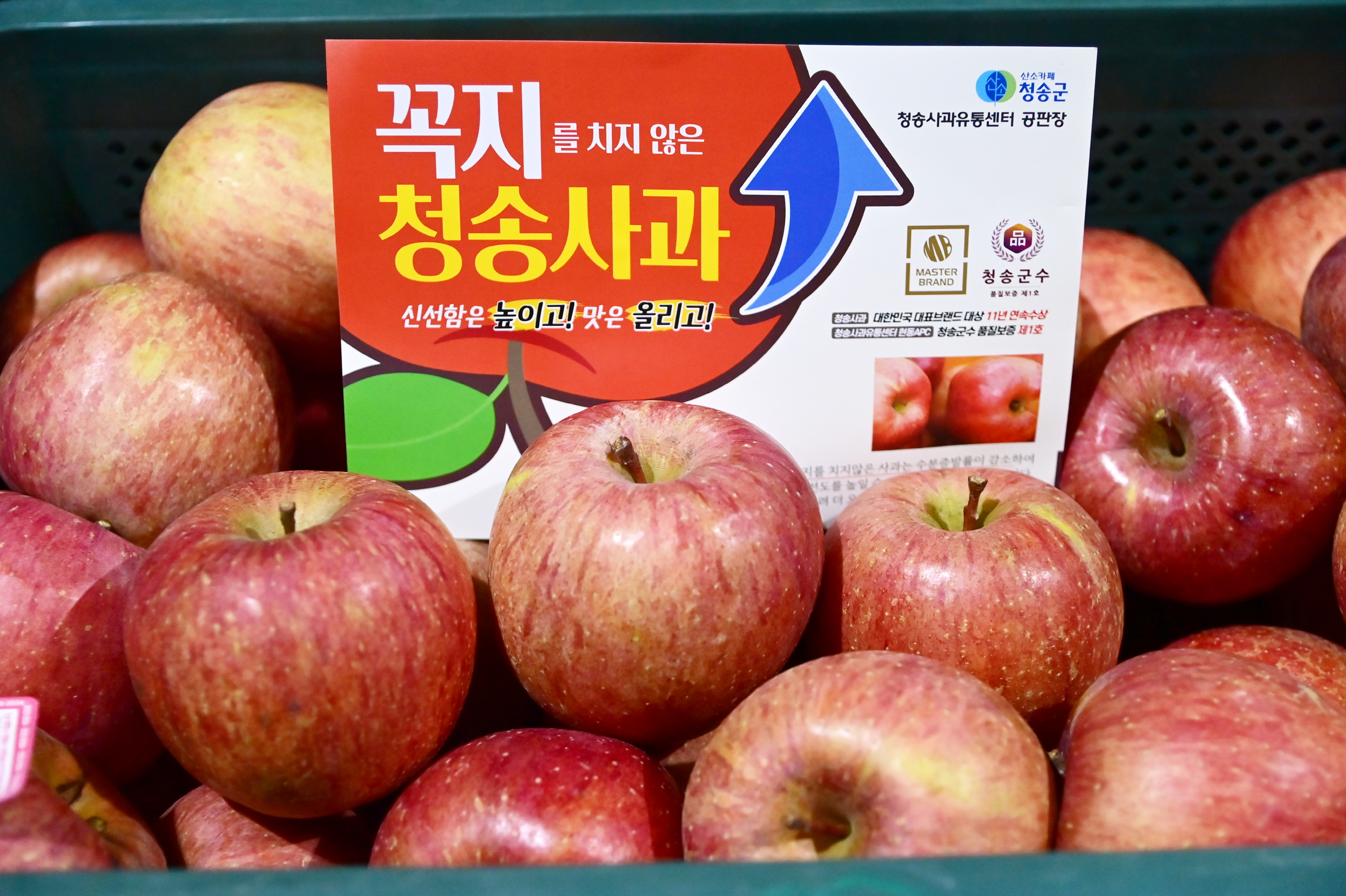 청송군, 2025년 새해 군정운영 방향 발표 “살고 싶은, 일등 청송”